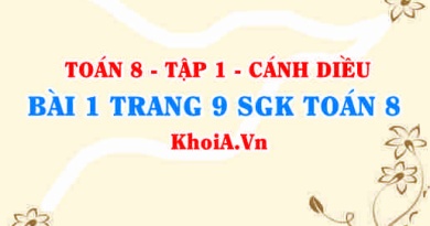 Bài 1 trang 9 SGK Toán 8 tập 1 Cánh Diều